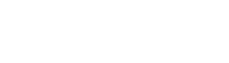 Lamrodman Solutions & Services